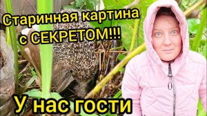 РЕМОНТ В САМОМ РАЗГАРЕ | Старинная картина с секретом | Деревенские будни | Жизнь в деревне