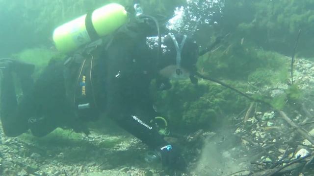 Surveying Salamanders смотреть онлайн