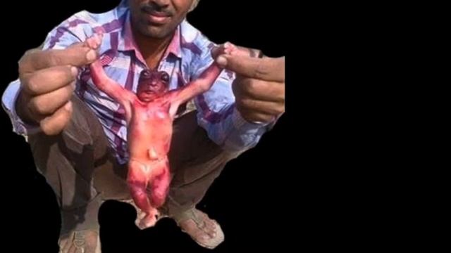 डेढ़ फुटिया लिलिपुट आखिरकार पकड़ा गया смотреть онлайн