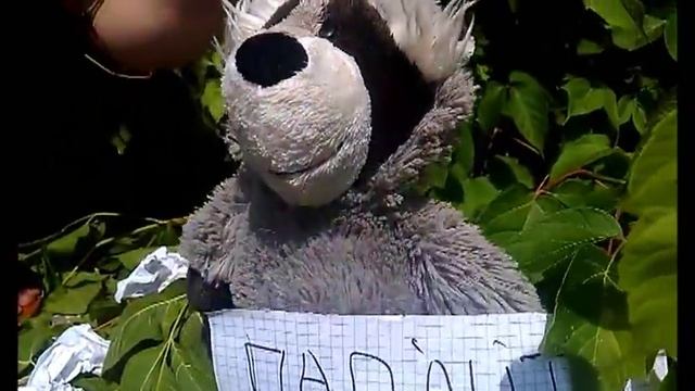 История про тупого Енота и Че смотреть онлайн