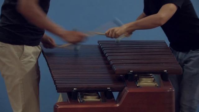 Flight of the Bumblebee by Nikolai Rimsky- Korsakov смотреть онлайн