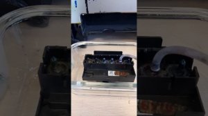 Промывка/прочистка печатающей головы принтера epson 1410, l1800 и других моделей.
