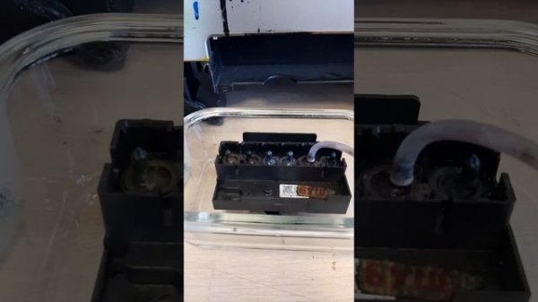 Промывка/прочистка печатающей головы принтера epson 1410, l1800 и других моделей.