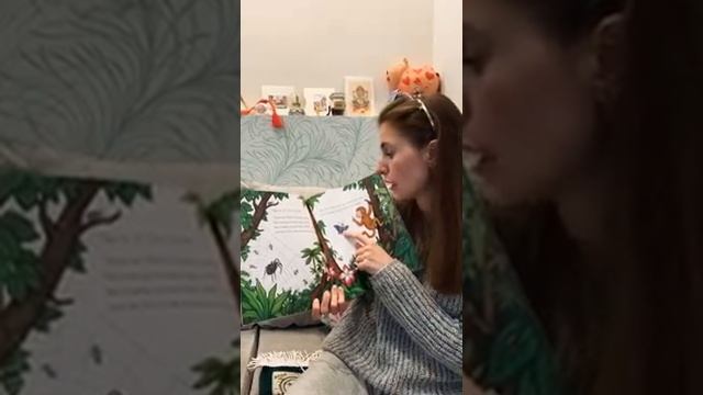 Monkey Puzzle by Julia Donaldson and Axel Scheffler смотреть онлайн