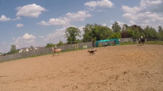 Тренировка, КК "Радуга", 2016_05_28 смотреть онлайн