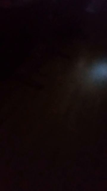 кошка #shorts (вроде часть 26)