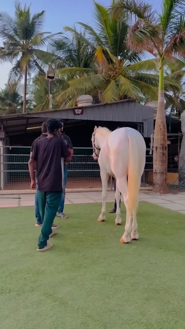 Kick 😃😃 смотреть онлайн