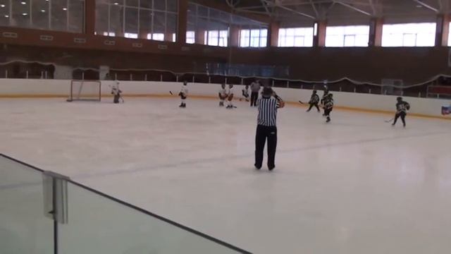 Шершни - Сев.звезда период 1 смотреть онлайн