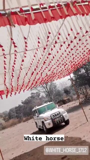 white horse Bolero #trending #viral #vlogs #india #reels 😎😎 смотреть онлайн