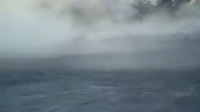 Léo piloto смотреть онлайн