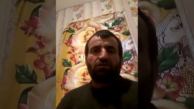 злой.медведь.ишет.конара.за.слава смотреть онлайн