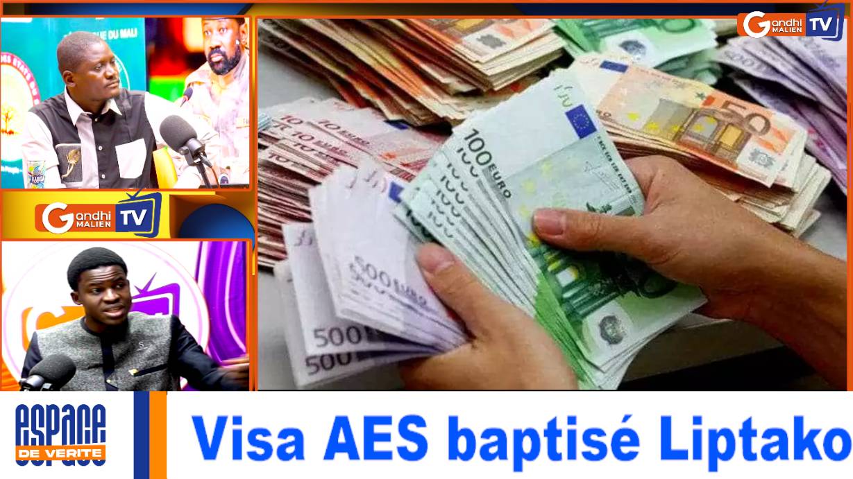 #urgent : Aziz Traoré / Le CFA Et Ses Conséquences Sur L'Afrique Francophone