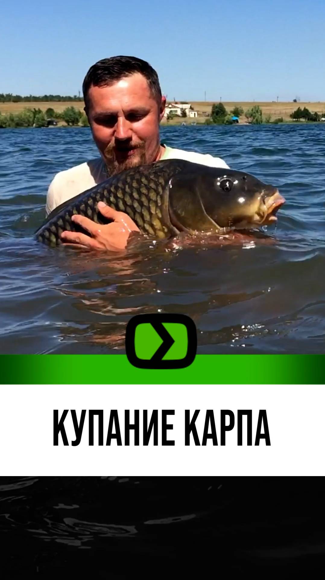 Отпускаем крупного карпа! смотреть онлайн