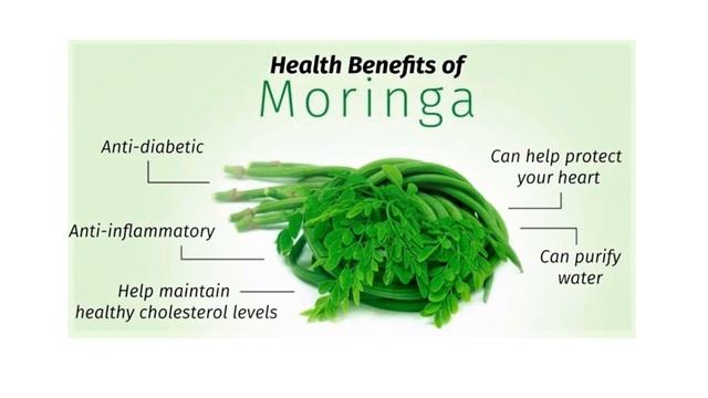 Steve Cokely Jr in Ghana - The Moringa Matrix смотреть онлайн