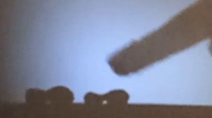 Шоу теней | Слон ест арахис