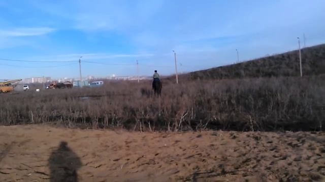 Обучение смотреть онлайн