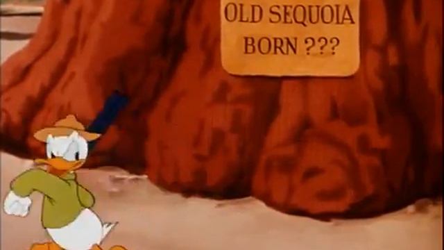 27 Donald Duck - Old Sequoia 1945