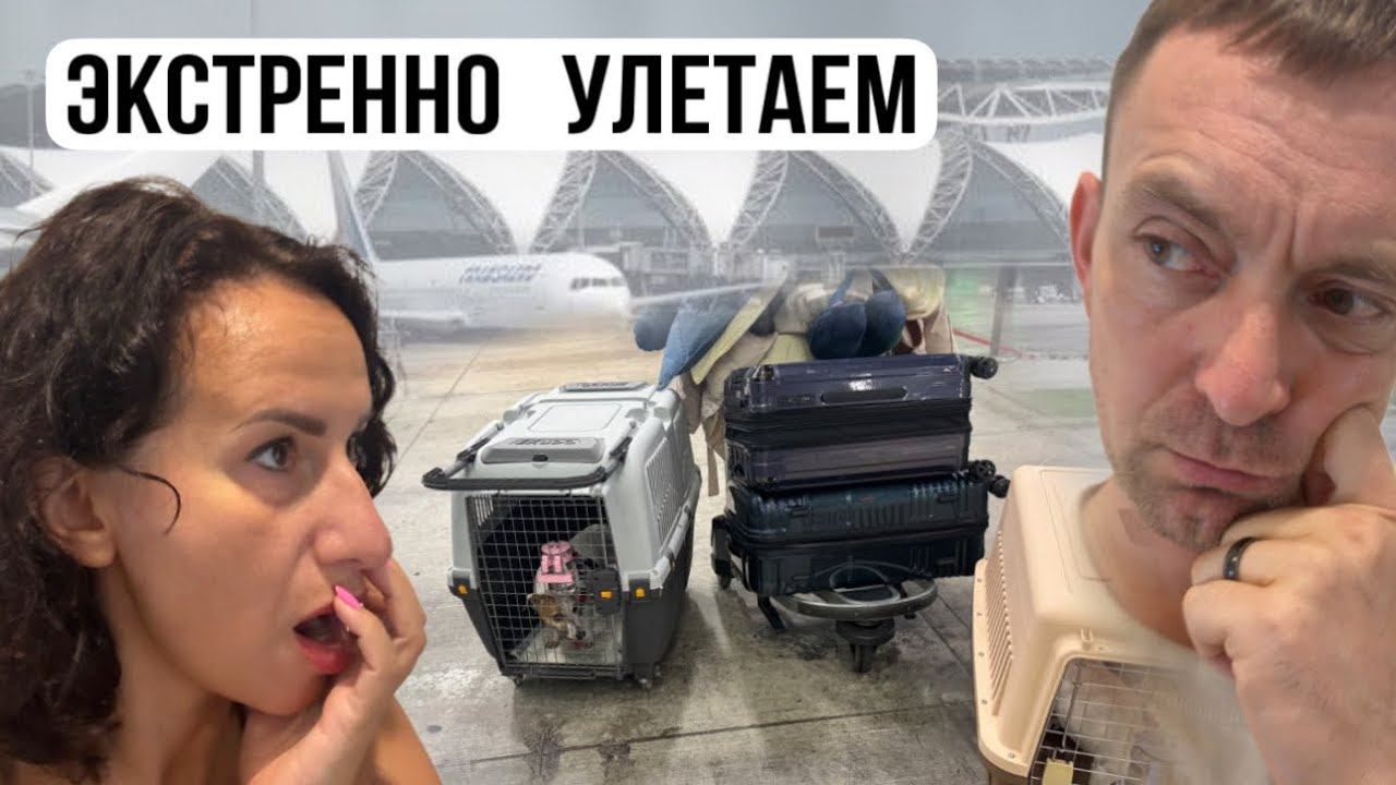 Экстренно эвакуируемся в Турцию. смотреть онлайн