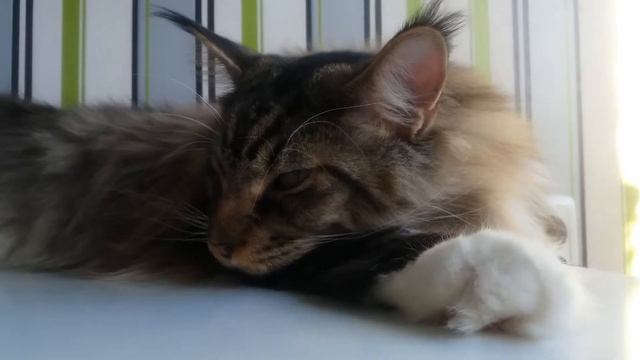 Печаль :( смотреть онлайн