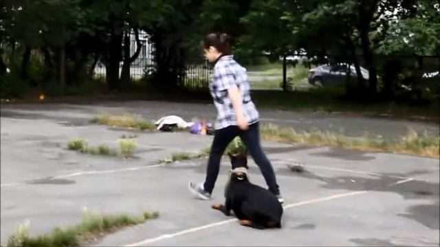 Енигма Аурелия Дип Перфекшн смотреть онлайн