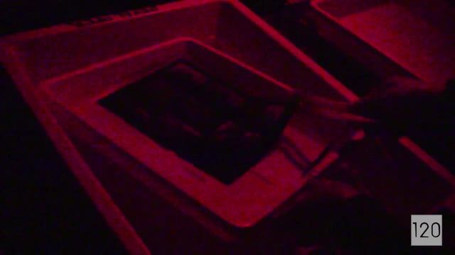 Darkroom Printing Part 1: Contact Printing смотреть онлайн