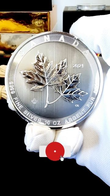 10oz Canadian Maple Leaf🍁 Silver Coin by Royal Canadian Mint 🍁 #silver #coin #stacking #shorts смотреть онлайн