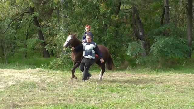 Козацьке коло. На лошади Саша Поддубный смотреть онлайн