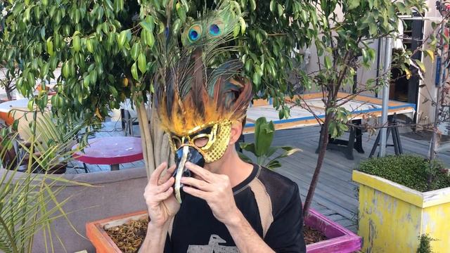 Bird Mask Ocarina смотреть онлайн