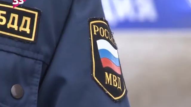 Разойтись на зимней зебре смотреть онлайн