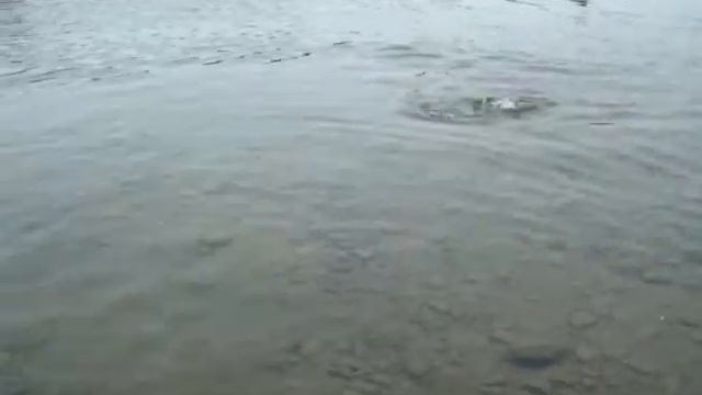 рыбалка нахлыст смотреть онлайн