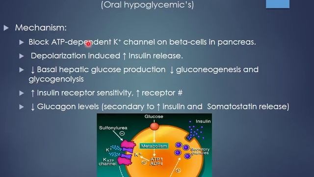 Section 2 Unit 4 - Endocrinology смотреть онлайн