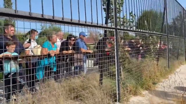 Lev Chuk stood up for the Leo Man! Lioness Bitch interferes with CLEANING SAVANNA смотреть онлайн