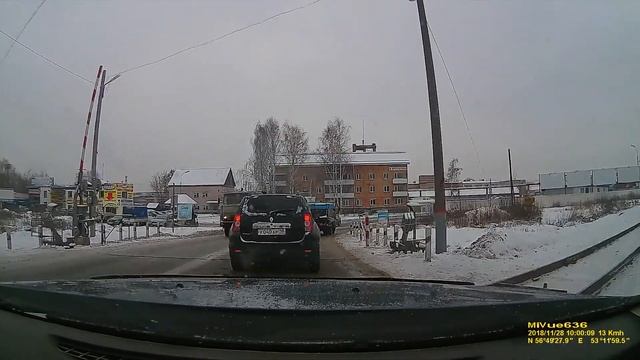 Правильная собака смотреть онлайн