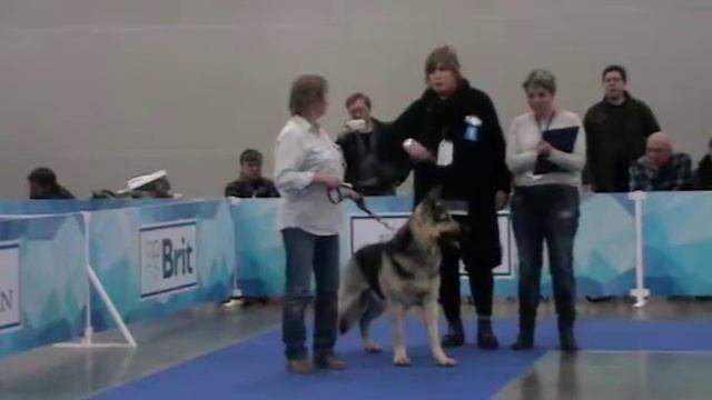 Беркут смотреть онлайн