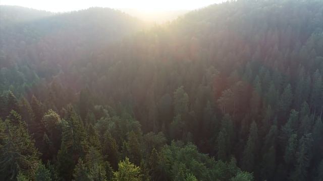 Classical Music For Relaxtaion - Beautiful Morning Wake Up Music For Positive Energy смотреть онлайн