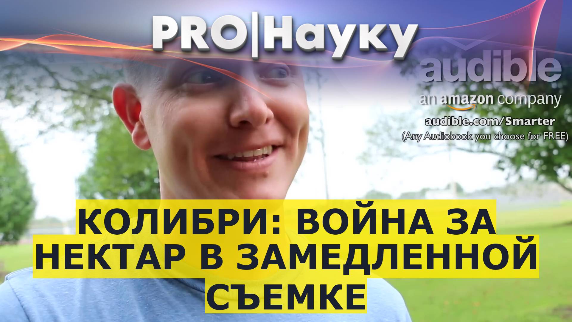 Колибри: война за нектар в замедленной съемке смотреть онлайн