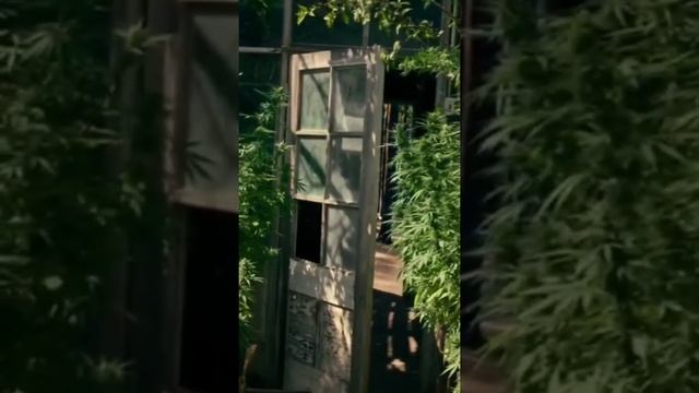 watch Dog | Best movie scene| 2022 смотреть онлайн