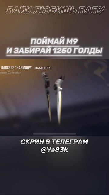 1000013679.mp4 смотреть онлайн