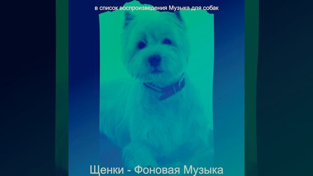 Настроения (Выгул собак) смотреть онлайн