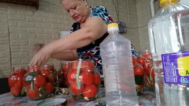 Помидоры ждут. смотреть онлайн