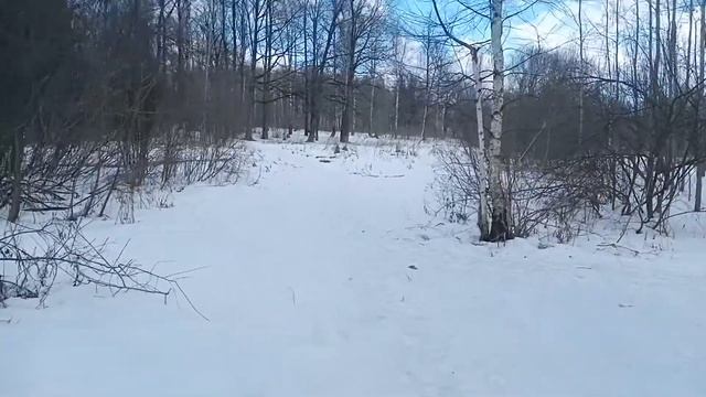 Жужа меня выгуливает перед обедом смотреть онлайн