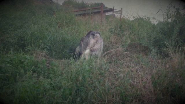 Не теряйте друг друга смотреть онлайн