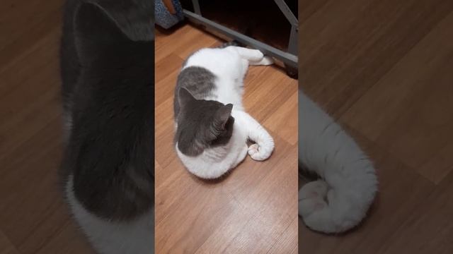 Афиночке тоже жарко💦💦🥰😻 смотреть онлайн