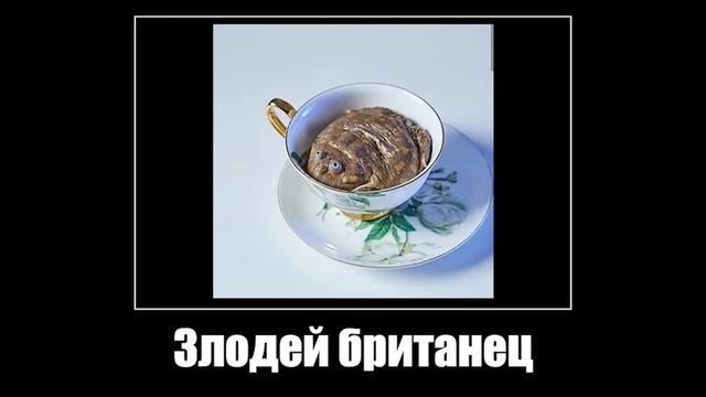 В главных ролях: жабы смотреть онлайн