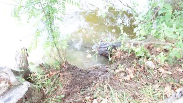 Сима ,Лина смотреть онлайн