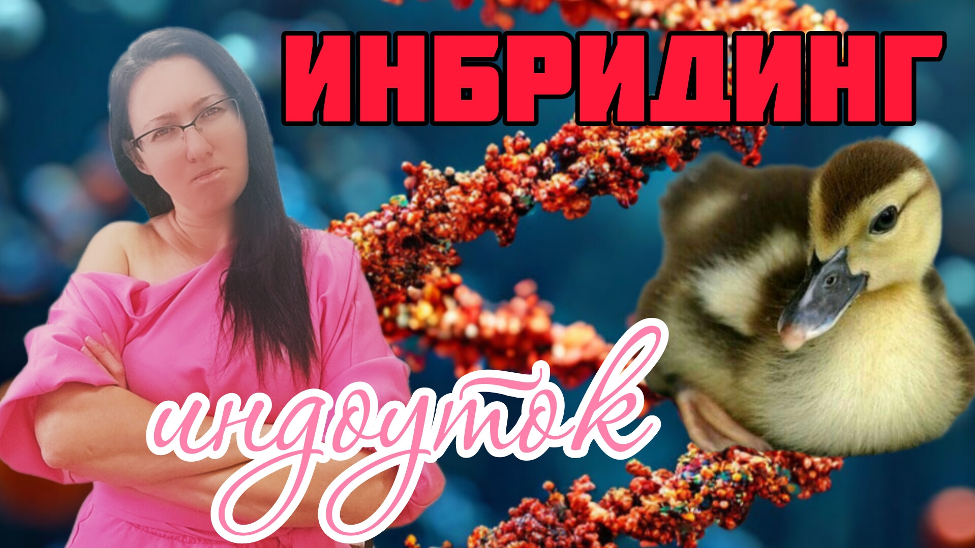 Инбридинг индоутки