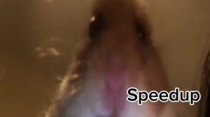 ВСЕ ВЕРСИИ МЕМА Миша Миша привет Миша!!!