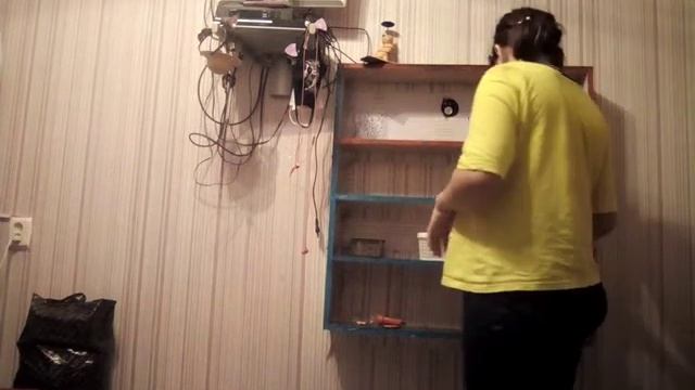 убираю полку для вещей собаки #собака #овчарка смотреть онлайн