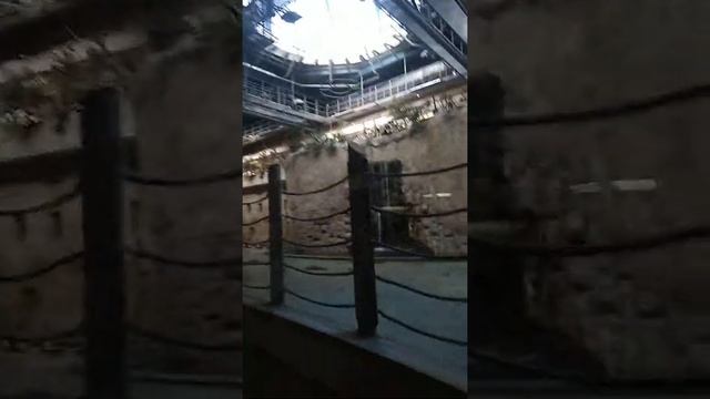 Это я в зоопарке в Москве! смотреть онлайн