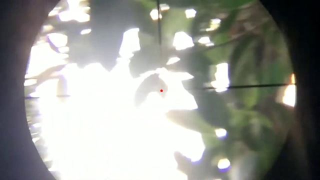 spot lama, menyimpan sejuta hama смотреть онлайн